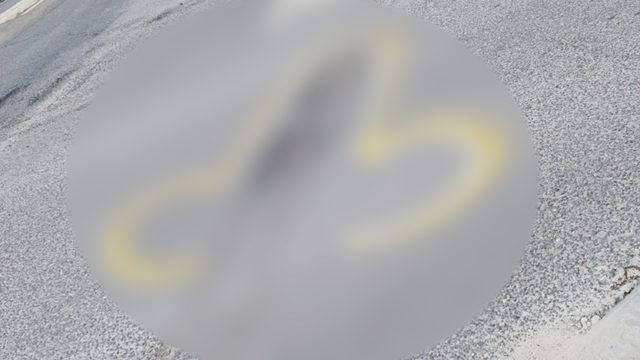 Yetkilileri göreve çağırma şekli şaşkına çevirdi! Yola penis şekli çiziyor