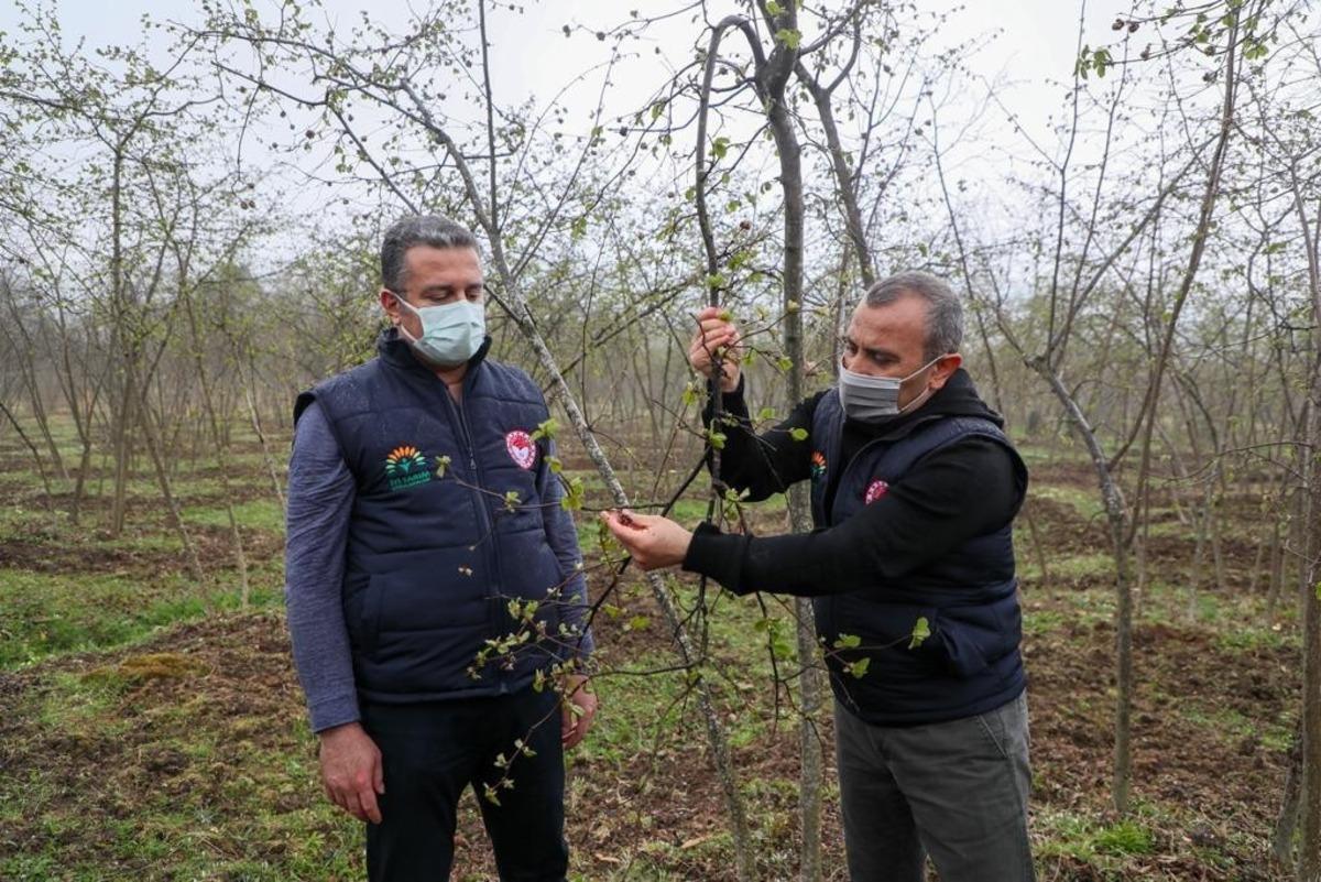 Vali Sonel: &ldquo;Fındıkta verim ve kaliteyi artırmak i&ccedil;in projeler uyguluyoruz&rdquo;