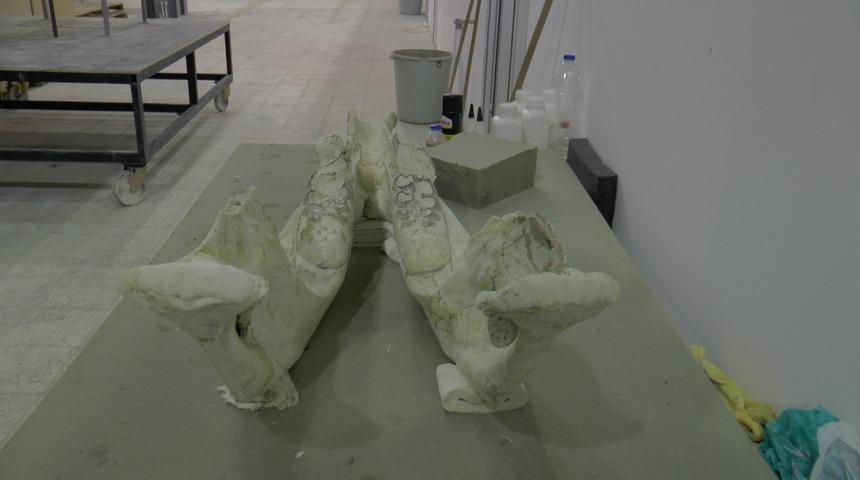 Dünyada tek örnek olan 7,5 milyon yıllık fosil Türkiye’nin ilk Paleantoloji Müzesinde sergilenecek