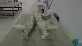 Dünyada tek örnek olan 7,5 milyon yıllık fosil Türkiye’nin ilk Paleantoloji Müzesinde sergilenecek