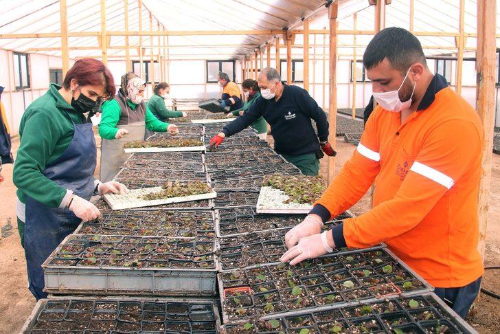 Çankaya’dan çiçek satışı G1