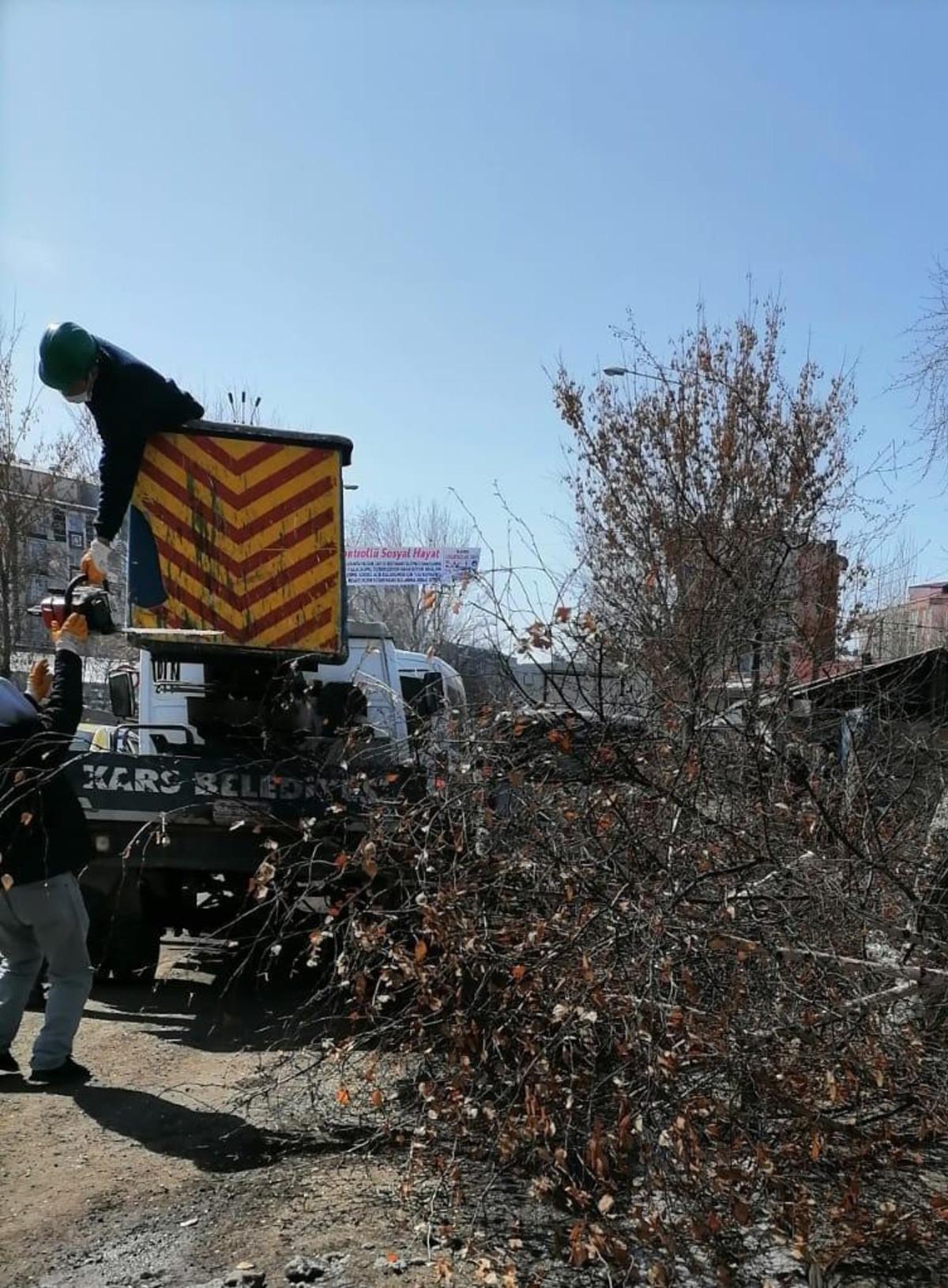 Kars&rsquo;ta ağa&ccedil;lar budanıyor