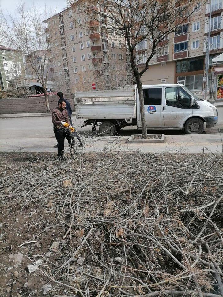 Kars’ta ağaçlar budanıyor G2