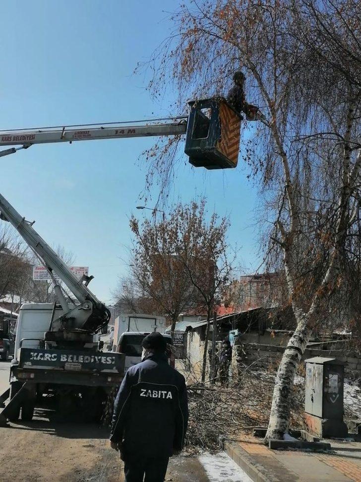 Kars’ta ağaçlar budanıyor G3