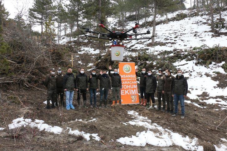 Bolu'da karaçam tohumları drone desteğiyle toprakla buluştu G1