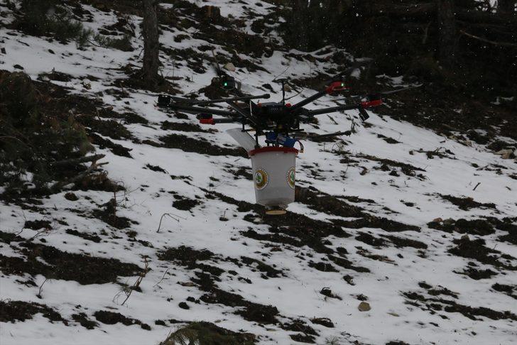 Bolu'da karaçam tohumları drone desteğiyle toprakla buluştu G2