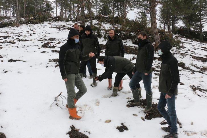 Bolu'da karaçam tohumları drone desteğiyle toprakla buluştu G3