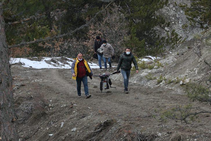 Bolu'da karaçam tohumları drone desteğiyle toprakla buluştu G4