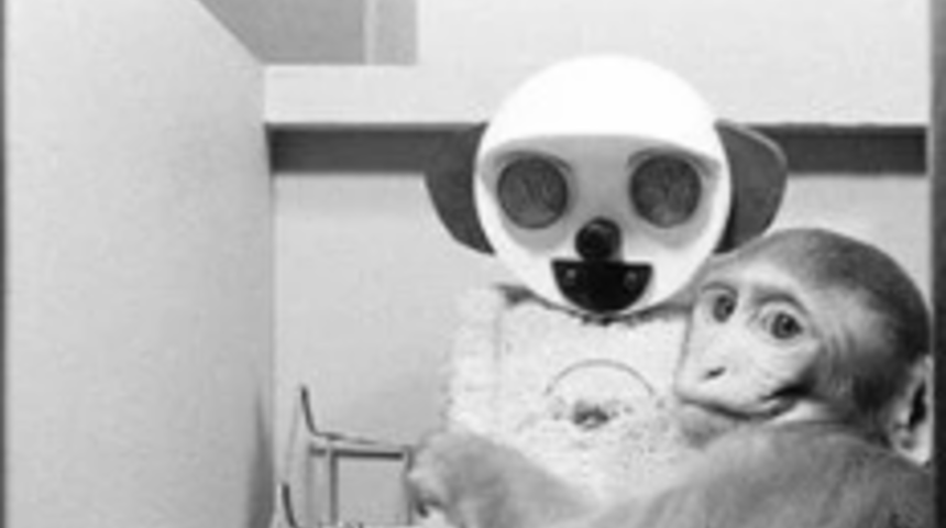 Tarihin ölümle sonuçlanan karanlık deneyi! ‘Sahte Anne’ deneyi etik tartışmaların odağına yerleşti