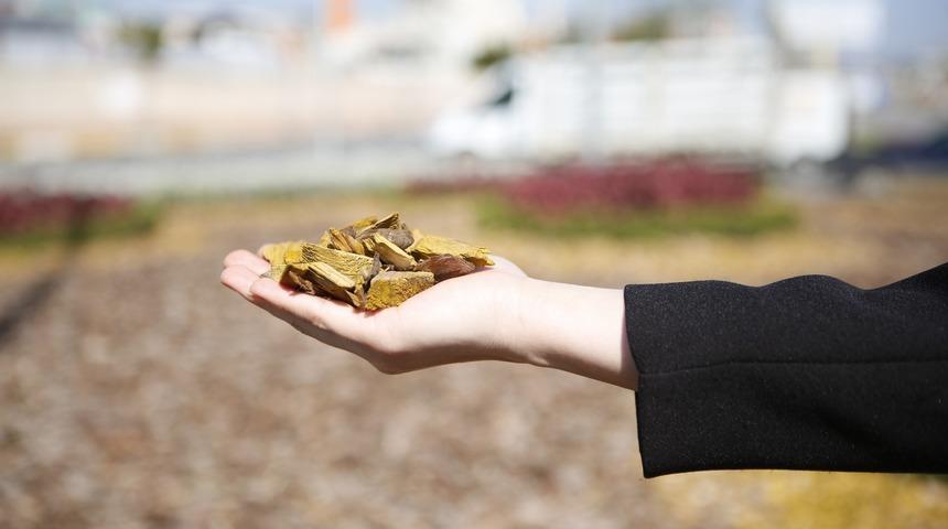 Kurakçıl Peyzaj Projesi başladı