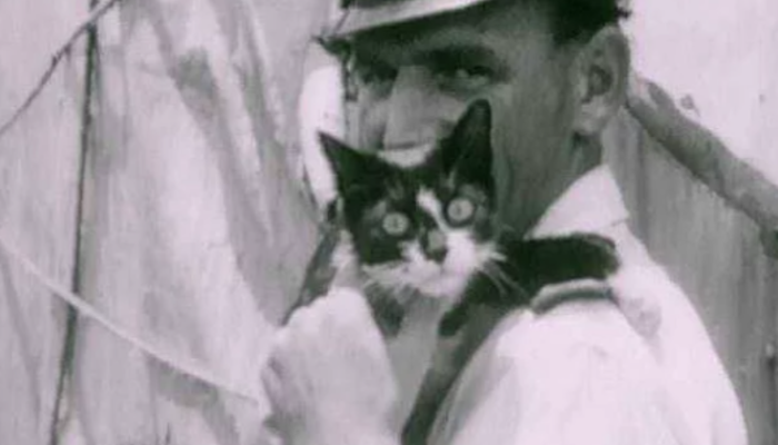 İkinci Dünya Savaşı’nda batan üç gemiden sağ çıkmayı başaran mucize kedi: Batmaz Sam