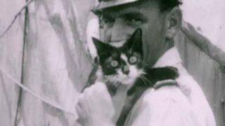 İkinci Dünya Savaşı’nda batan üç gemiden sağ çıkmayı başaran mucize kedi: Batmaz Sam