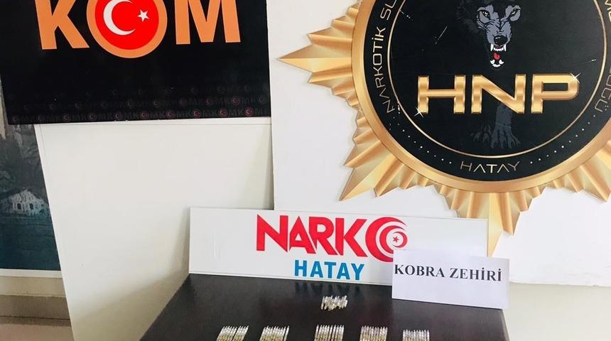 Hatay&rsquo;da 156 t&uuml;p kobra zehri ele ge&ccedil;irildi