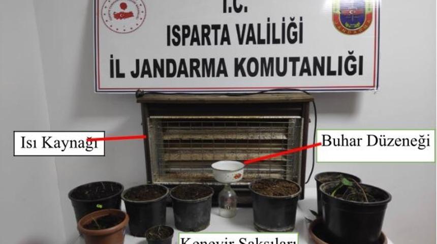 Evinde yapay ısı, ışık d&uuml;zeneğiyle kenevir yetiştirdi, jandarma yakaladı