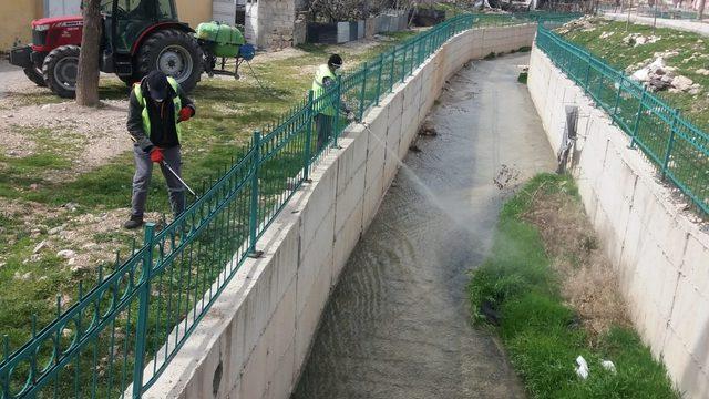 Besni’de haşere ile mücadele başladı