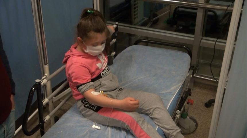 Kırıkkale'de başıboş gezen pitpull 8 yaşındaki &ccedil;ocuğa saldırdı