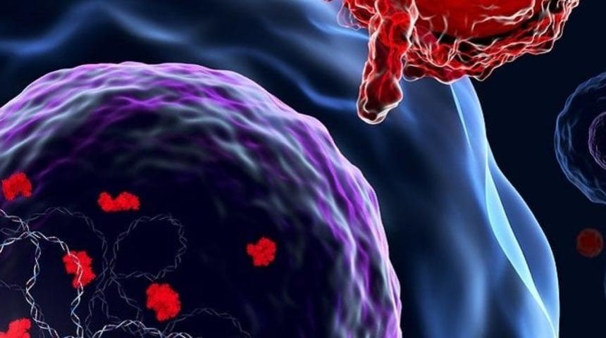  1-7 Nisan: Ulusal Kanser Haftası | Ulusal Kanser Haftası nedir?