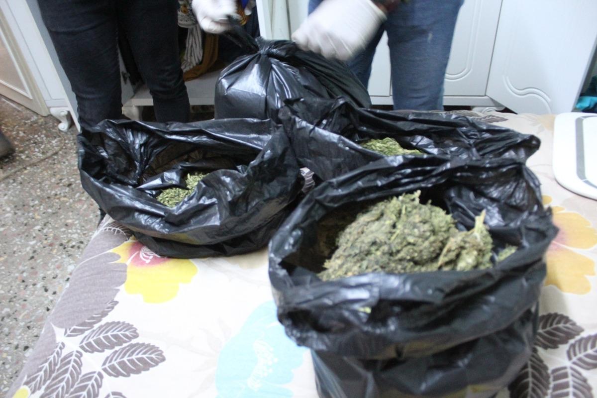 Dedekt&ouml;r k&ouml;peğin yoğun tepkisi zulayı ortaya &ccedil;ıkardı