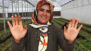 7 kadının turşu başarısı: Almanya'ya ihraç ediyorlar