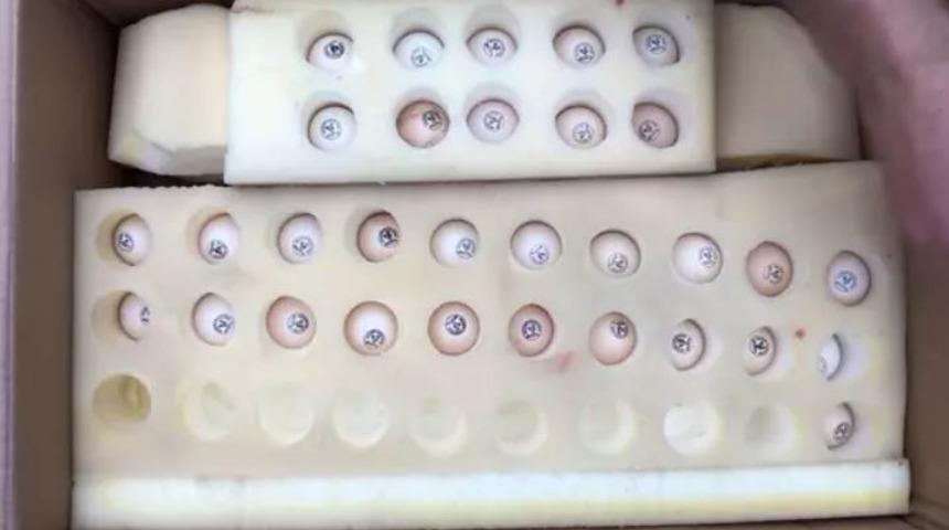 3 civcivle başladılar, kuluçka makinesi ile yumurta üretiyorlar