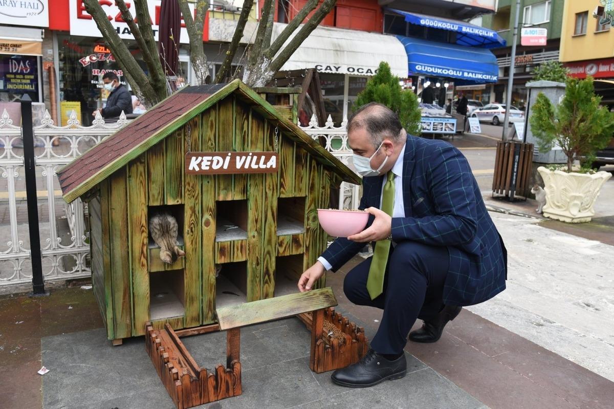 Kediler i&ccedil;in villa yaptılar, şehrin &ccedil;eşitli noktalarına yerleştirdiler