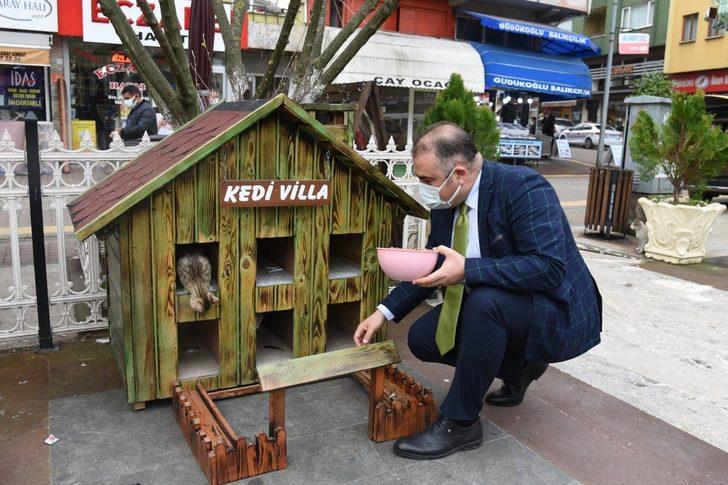 Kediler için villa yaptılar, şehrin çeşitli noktalarına yerleştirdiler G1