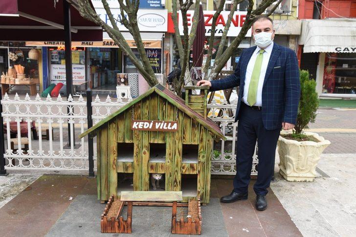 Kediler için villa yaptılar, şehrin çeşitli noktalarına yerleştirdiler G2