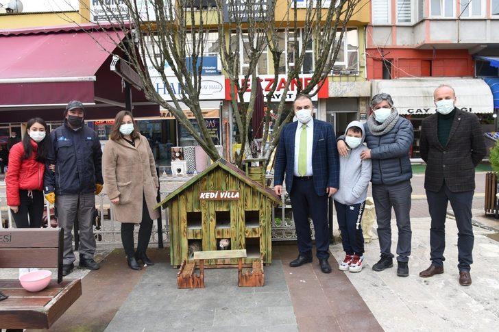 Kediler için villa yaptılar, şehrin çeşitli noktalarına yerleştirdiler G3