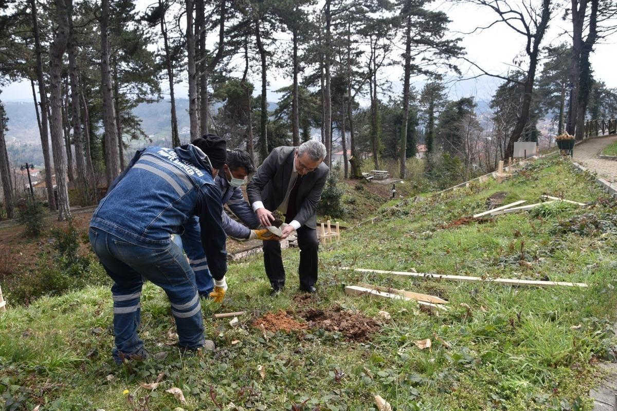Belediye, Kestaneci&rsquo;ye kestane fidanı dikti