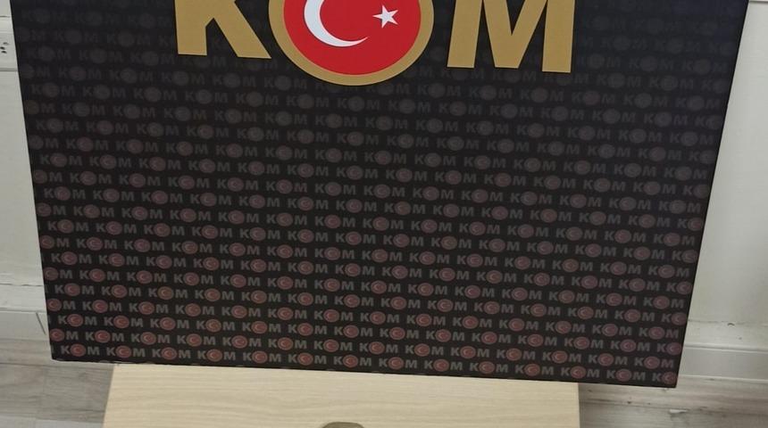 &Ccedil;anakkale&rsquo;de deniz yıldızı fosili ele ge&ccedil;irildi