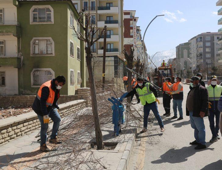 Van Büyükşehir Belediyesinden ağaç budama çalışması G2