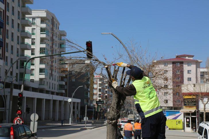 Van Büyükşehir Belediyesinden ağaç budama çalışması G5