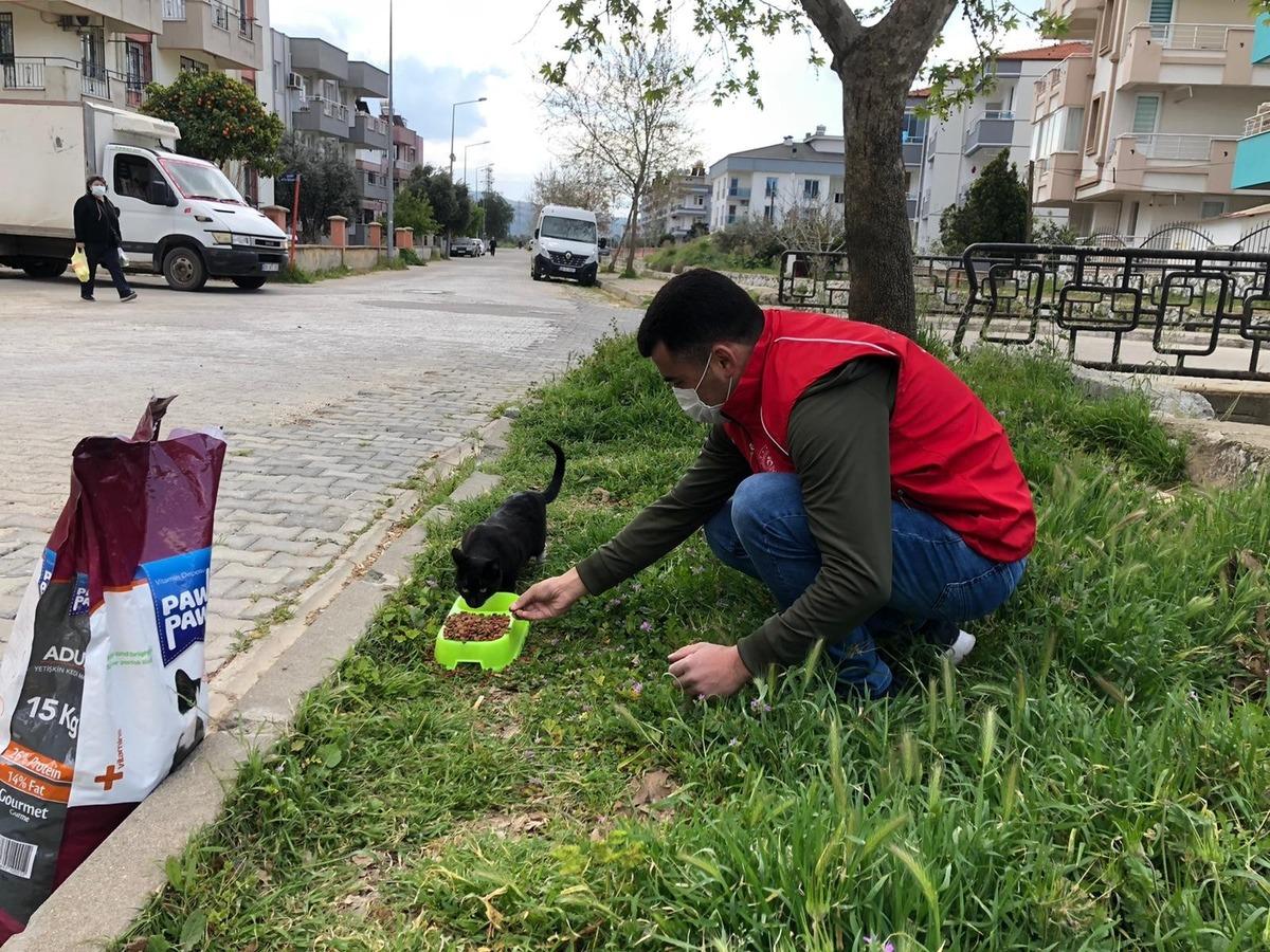 Sokak hayvanları i&ccedil;in kuru mama dağıtıldı