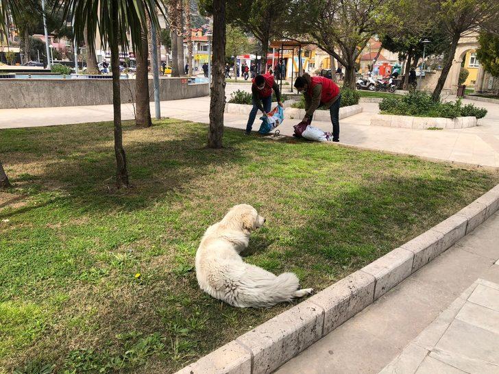 Sokak hayvanları için kuru mama dağıtıldı G4