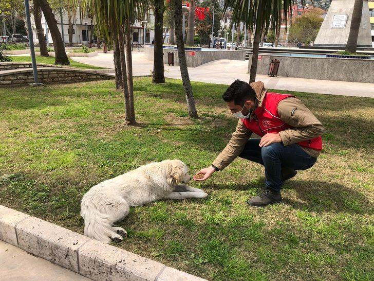 Sokak hayvanları için kuru mama dağıtıldı G5