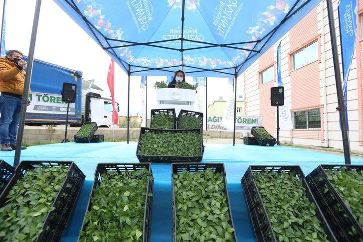 Büyükşehir’den Nurdağı çiftçisine dev destek G3