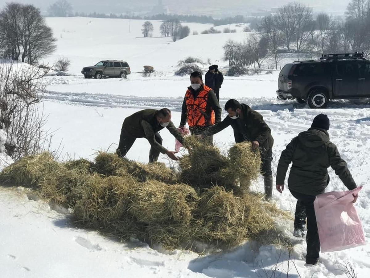 Bolu&rsquo;da yaban hayvanlarına 35 ton yem bırakıldı