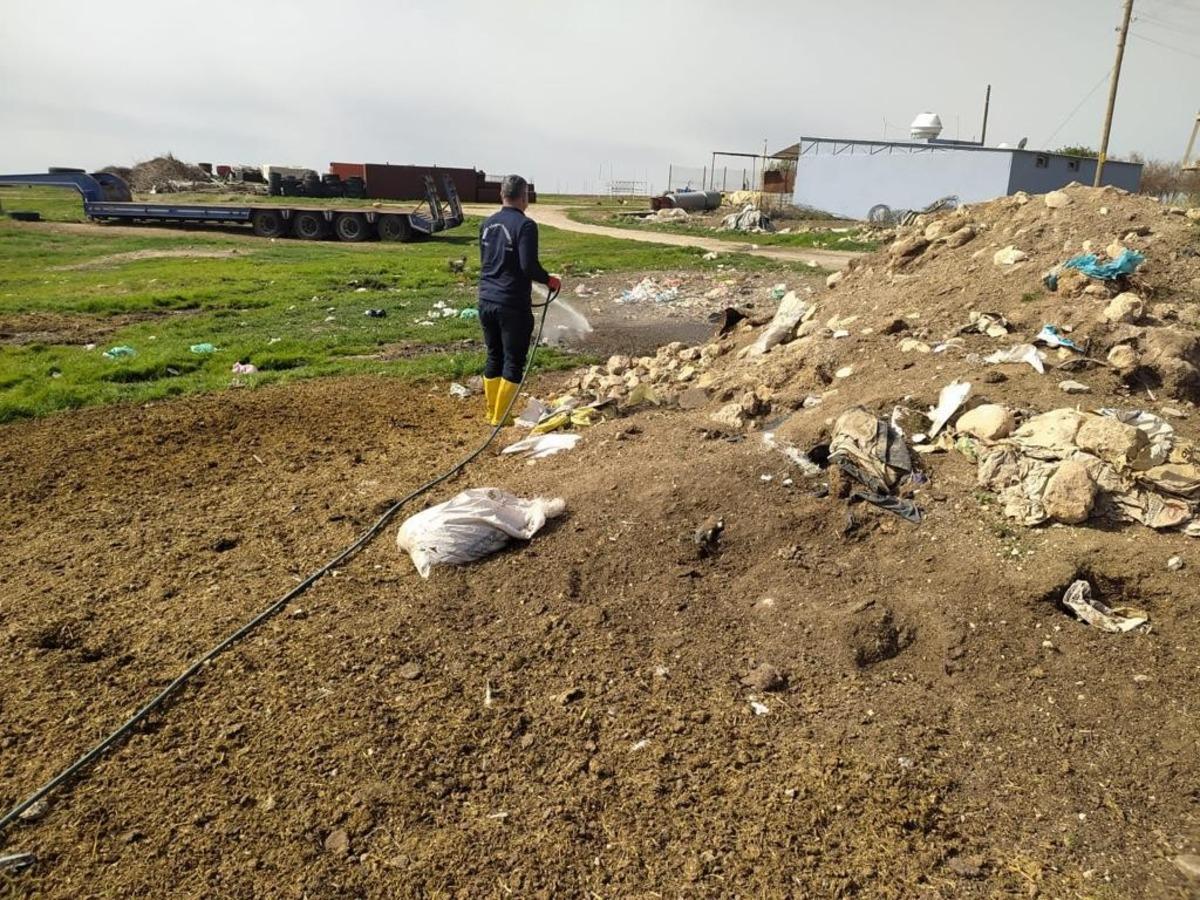 Mardin&rsquo;de sinek ve haşerelere karşı ila&ccedil;lama &ccedil;alışması başlatıldı