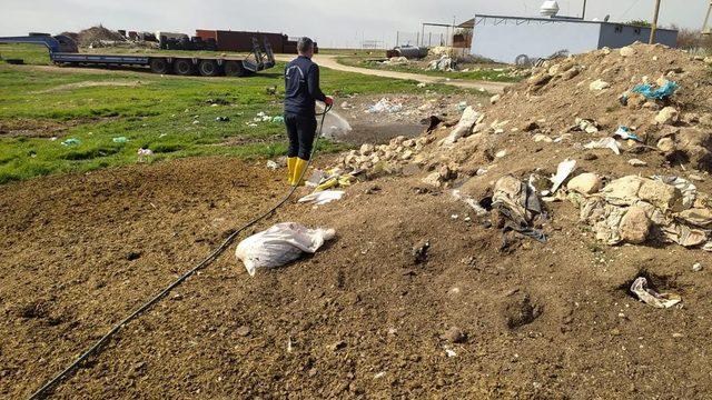 Mardin’de sinek ve haşerelere karşı ilaçlama çalışması başlatıldı