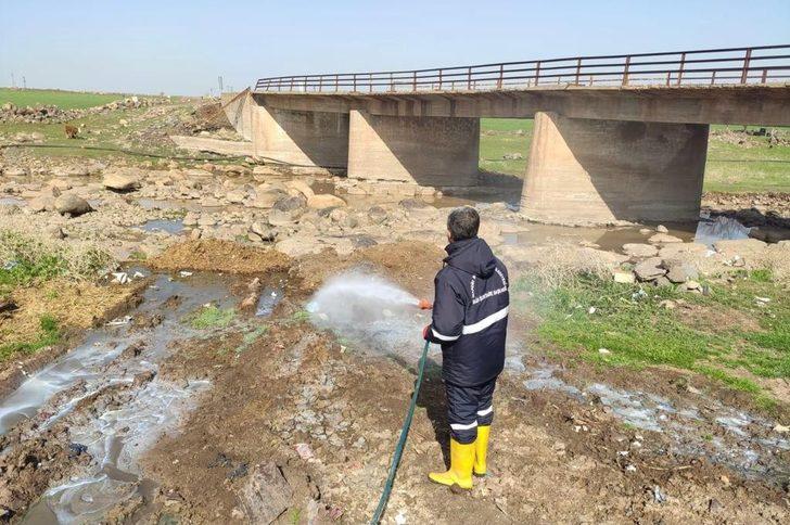 Mardin’de sinek ve haşerelere karşı ilaçlama çalışması başlatıldı G4