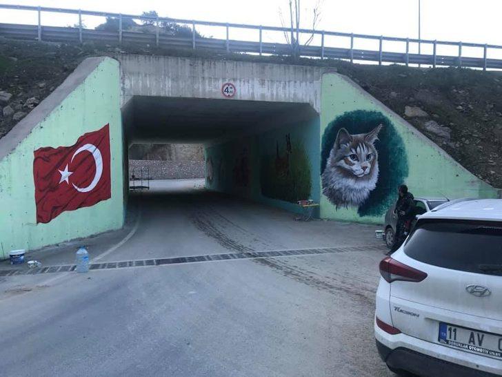 Hayvan ve doğa resimleri belde girişine güzellik kattı G2