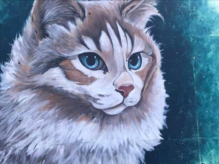 Hayvan ve doğa resimleri belde girişine güzellik kattı G3