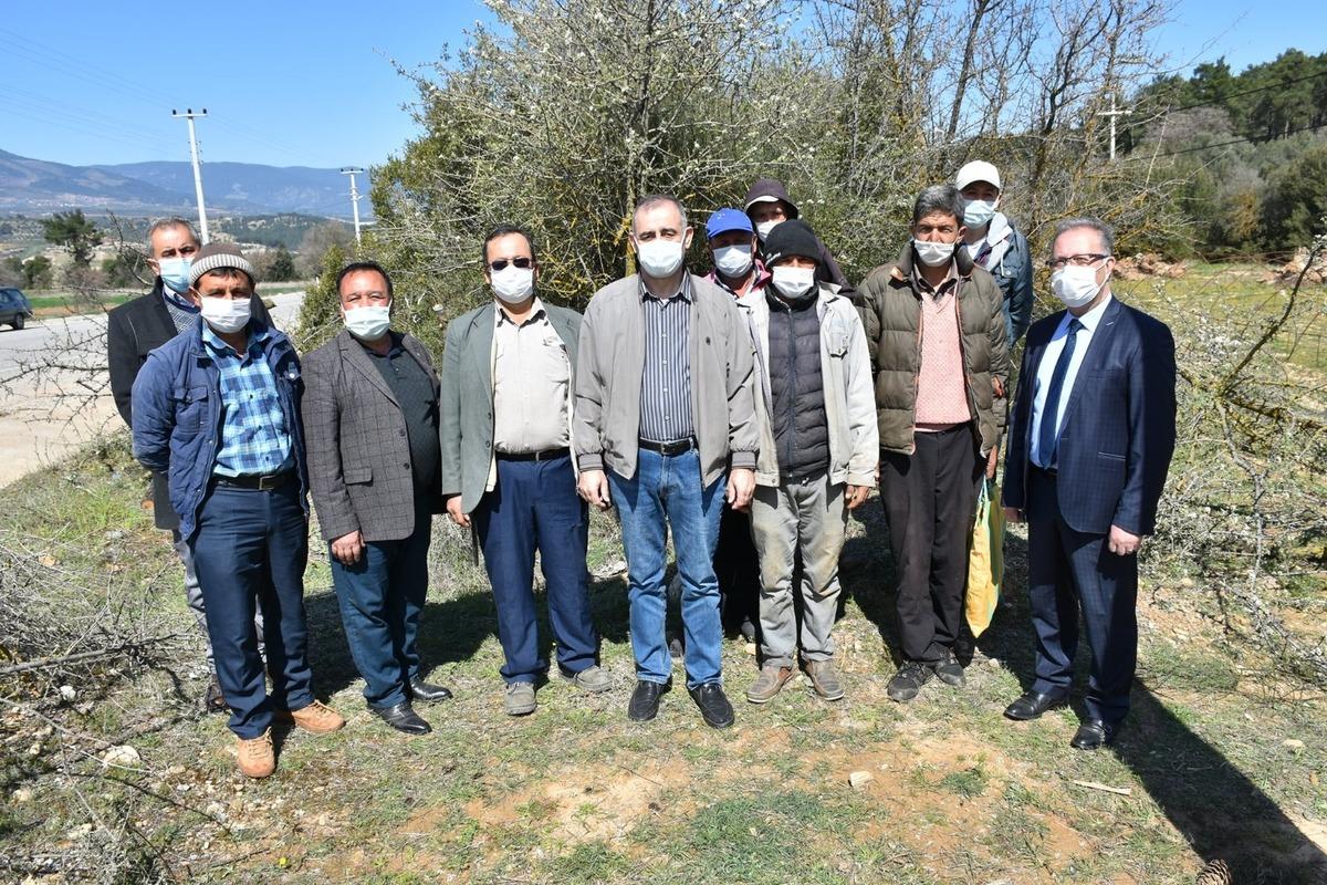 Karacasu&rsquo;da 12 bin ahlat ağacı aşılanıyor