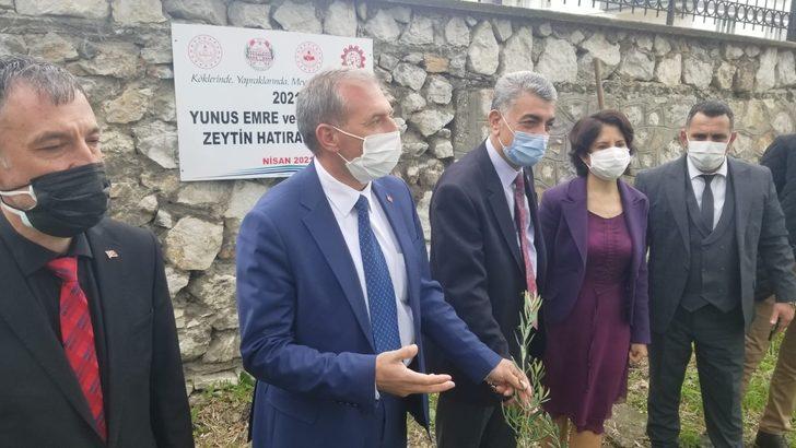 Okul bahçesinde Yunus Emre Hatıra Zeytin Fidanlığı G2