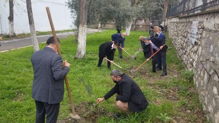 Okul bahçesinde Yunus Emre Hatıra Zeytin Fidanlığı G3