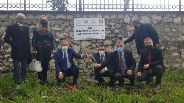 Okul bahçesinde Yunus Emre Hatıra Zeytin Fidanlığı G5