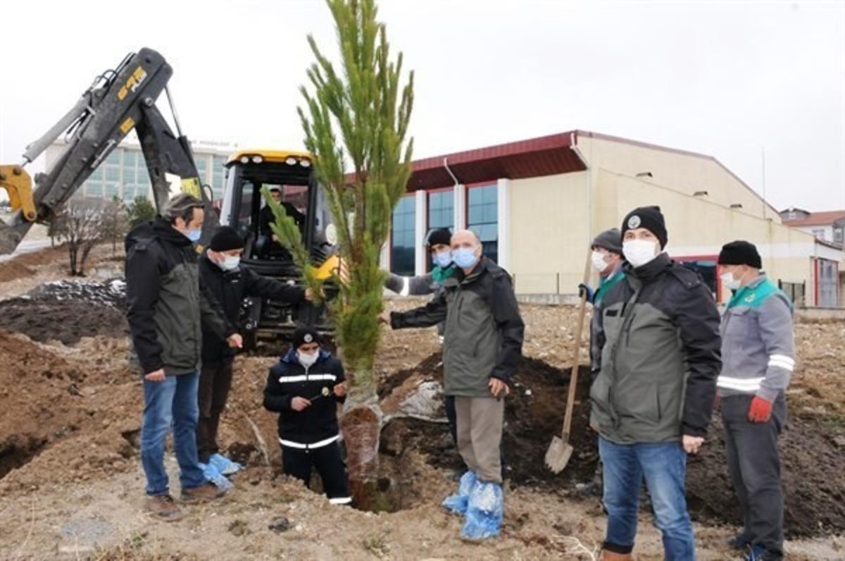 Orman B&ouml;lge M&uuml;d&uuml;rl&uuml;ğ&uuml;nde &ccedil;evre d&uuml;zenlemesi