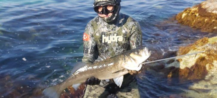 Zıpkınla 5’er kiloluk levrek ve somon avladı G3