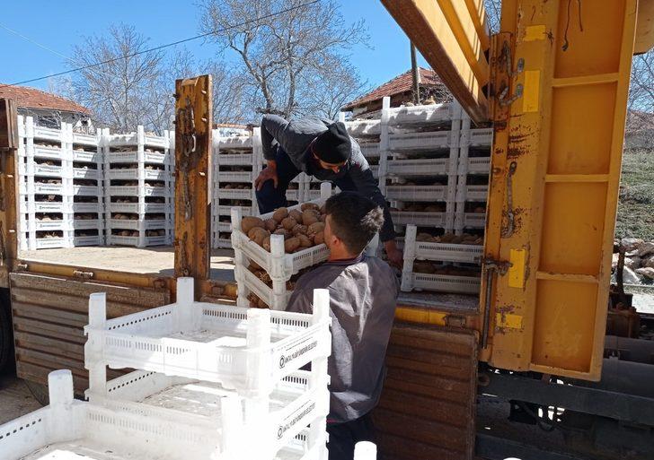 Biyolojik mücadele için Korkuteli’de patates yetiştirilecek G3