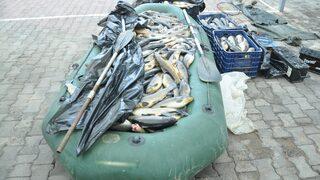 Kızılırmak'ta kaçak yollarla balık avlayan 3 şüpheli yakalandı